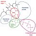 medicinal chemistry