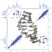 NMR and modelling